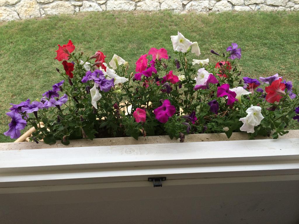 Alacati Roka Hotel 客房 照片